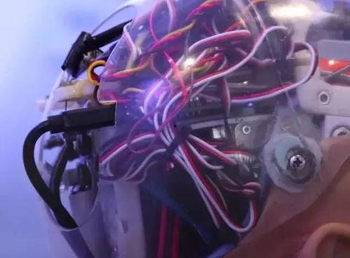 女机械人在线观看免费  第3张